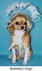 This is Madonna's dog!