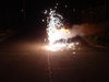 Bugs goes explosive