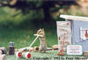 Here's Charlie the Chipmunk mowing his lawn!