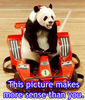 Panda Sense
