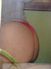 goldi