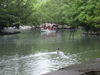 this boat looked like it was sinking, so i took a picture of it because it